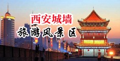 啊~鸡巴操烂小骚逼吧视频中国陕西-西安城墙旅游风景区