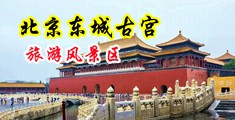 女人逼逼免费看看网站小说图片中国北京-东城古宫旅游风景区